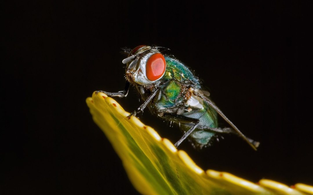 Menuju Imigrasi Sawahlunto yang Responsif dan Berkualitas
